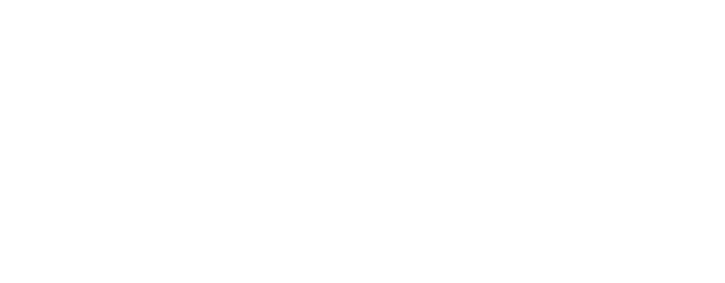 IOTA Logo White